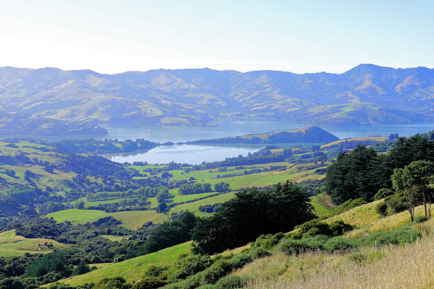 istock New Zealand South Island 2158024404