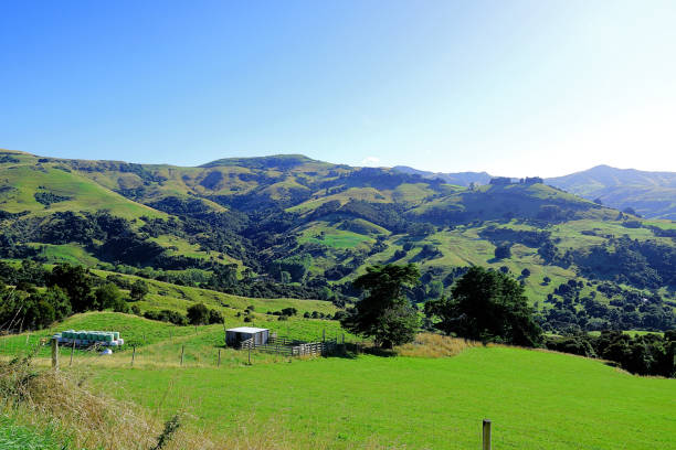 istock New Zealand South Island 2158024740