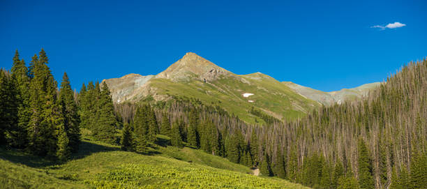 istock Green mountain peak with forest meadow and clear blue sky 2158028165