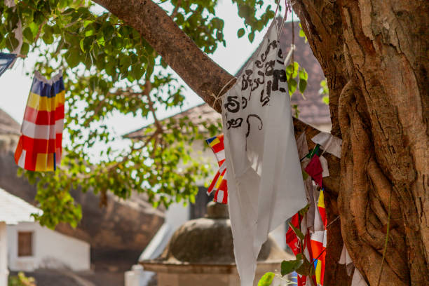 istock Dambulla cave temple, Matale District, Sri Lanka 2158029119