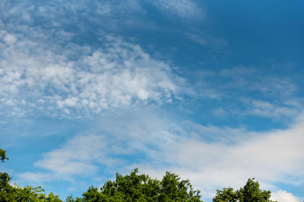 Cirrostratus is a high-altitude, very thin, generally uniform stratiform genus-type of cloud.