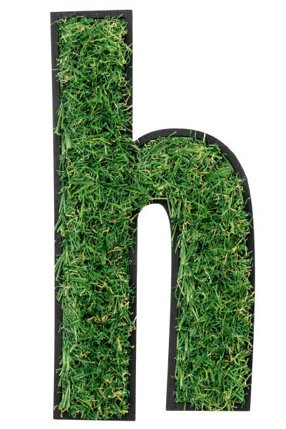 istock Letter H made of green grass isolated on white. 2158034773
