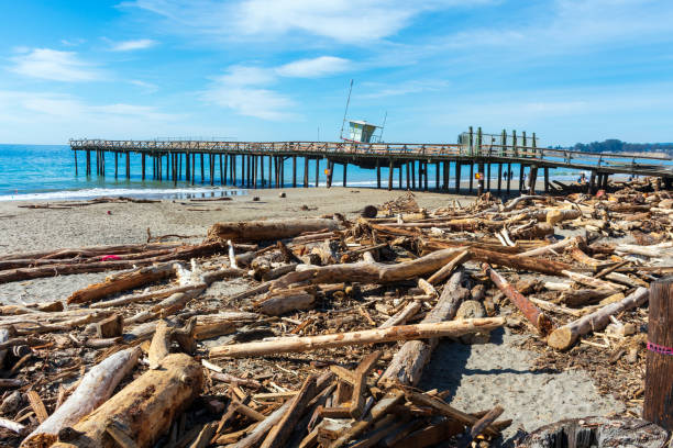 istock Damaged Seacliff Pier stands over a sandy beach littered with driftwood washed ashore. 2158043739