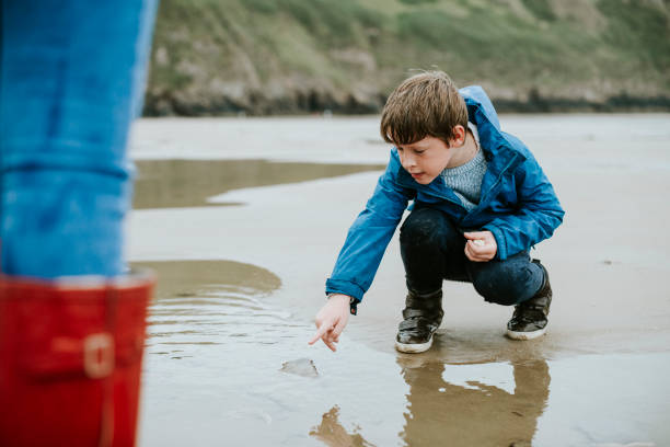 istock Young boy pointing at a jellyfish on the seashore 2158044988