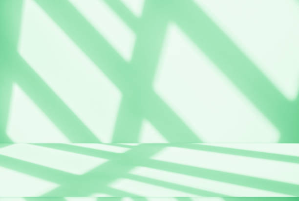 istock Wall interior background, studio and backdrops show leaf products.with shadow from window color beige and white. background for text insertion and presentation product 2158049356