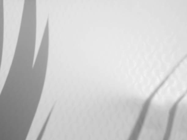istock Shadow Background Abstract Leave Overlay Wall Floor Light Effect White Plant Sunlight Backdrop Mockup Minimal Spring Summer Nature Grey blur Photography Scene Template Poster Card Frame Product. 2158051841