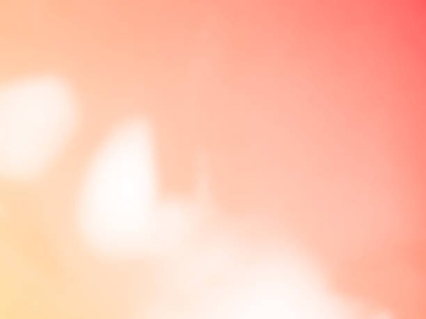 istock Summer Orange Background Shadow Texture Leaf Autumn Wall Light Abstract Floor Wall Window pastel Gradient Two Tone Bright Color Paper Stone, Backdrop Frame Template Minimal Wallpaper Platform. 2158051921