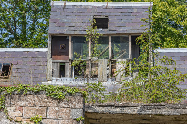 istock Nature reclaiming derelict farm buliding 2158052245