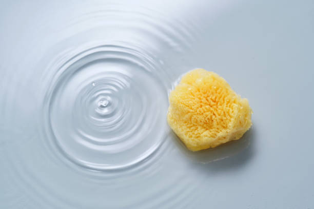 istock Natural sponge on a blue background with water. 2158054533