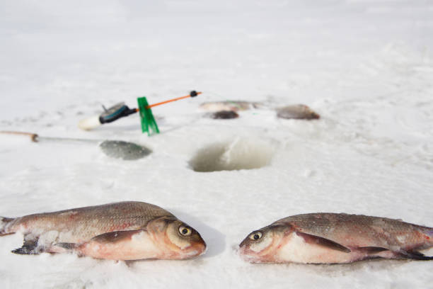 istock winter fishing 2158056684