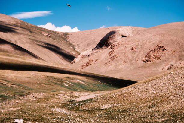 istock Small bird above gold colored mountain folds. Detailed view 2158059880