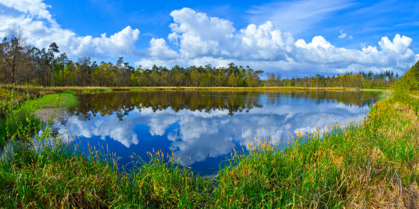 Mastbos Natural Reserve, Breda, Netherlands