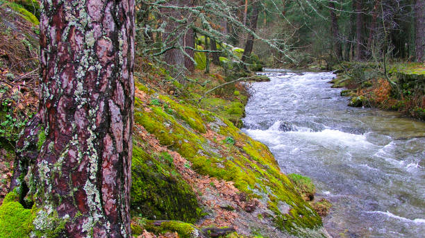istock Eresma River, Sierra de Guadarrama National Park, Spain 2158064854