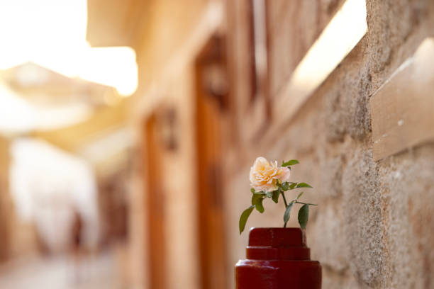 The flower on top of the fire hydrant