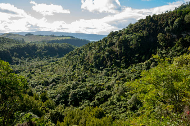 istock Waitoharuru Valley in Rotorua 2158068509