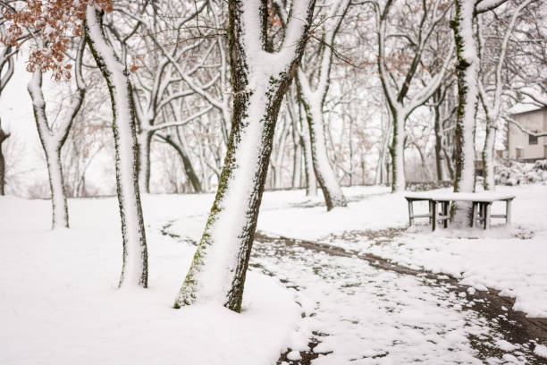 Snow park in Serbia, city Topola