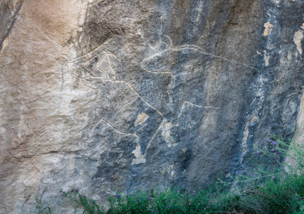 Paleolithic Cave Drawings