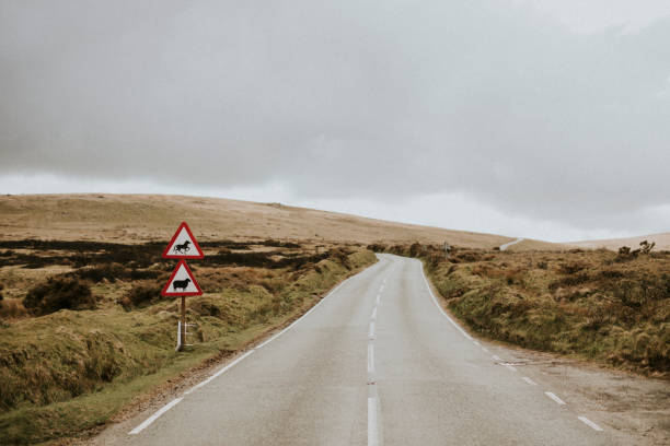 istock Scenic empty countryside road in Wales, UK 2158071270