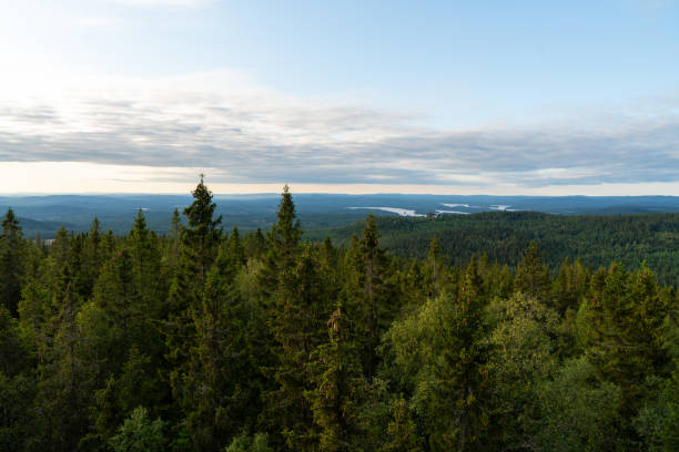 istock Sweden at Summer | Landscape from Sweden 2158073497