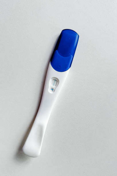 A white plastic pregnancy test is isolated over a pink background. Women's health, fertility, planning maternity and pregnancy concept. Test kits positive 2-line results. Copy space for advertising.