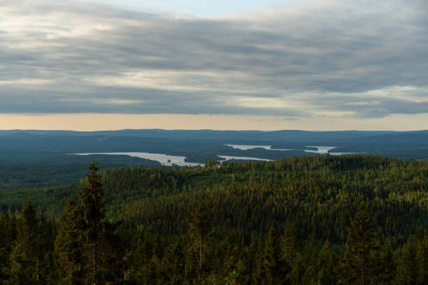 istock Sweden at Summer | Landscape from Sweden 2158076513