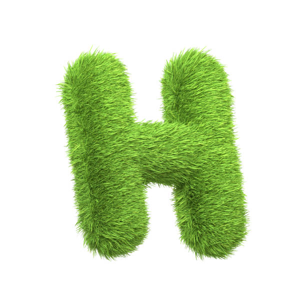 istock Capital letter H shaped from lush green grass, isolated on a white background 2158076766