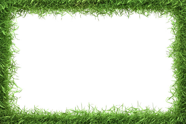 istock A lush green grass border frames a central white space, ideal for eco-themed messages and designs 2158076833