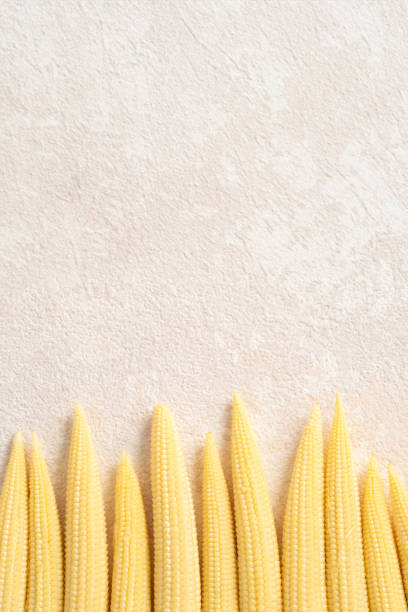Raw, fresh baby corn in the husk with red silk in basket sieve plate on gray table background.