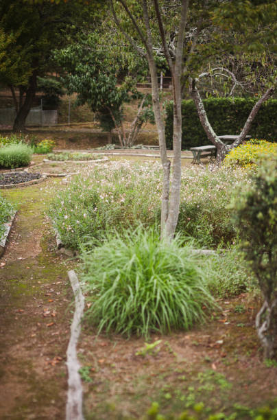 istock A well-kept garden full of herbs 2158078676
