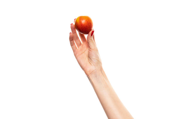 istock Female hand holding a nectarine, white background 2158081131