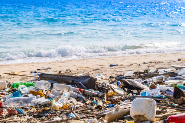 istock Trash, plastic cups and plastic bags at the beach. environmental problem concept and healing the world 2158081890