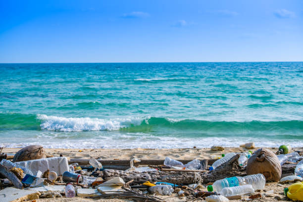 istock Trash, plastic cups and plastic bags at the beach. environmental problem concept and healing the world 2158081900