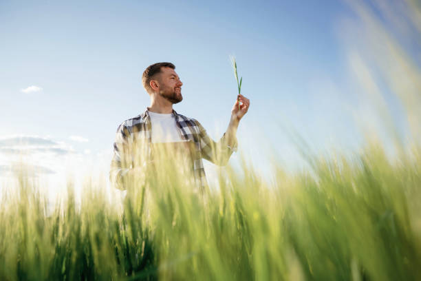 istock Handsome man is on the agricultural field at daytime 2158082714