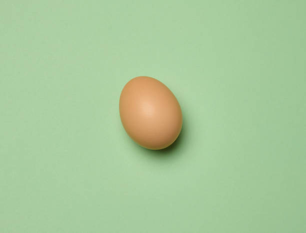 istock Raw brown egg on green background, top view 2158083981