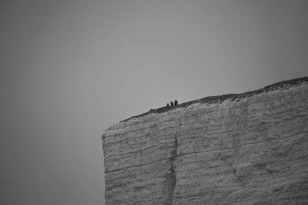 A group of people close the the edge of a huge cliff at Beachy Head