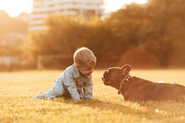 istock Illuminated by sunlight. Cute little boy is with dog on the field 2158089437