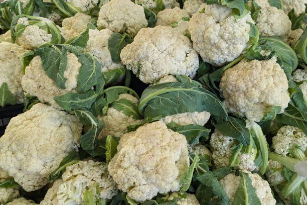 istock Fresh cauliflowers in the market 2158090231