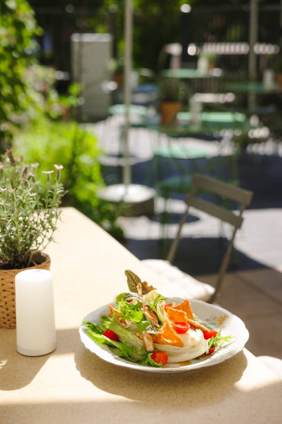 Gourmet meal with Caesar style salad with chicken, tomatoes and salad leaves served in French style plate on the table with plant in cafe patio during sunny day