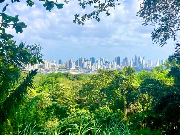 Panama city cityscape visible from the top of the hill in Metropolitan natural park. City panorama and high skyscrapers contrasting with green natural park with wildlife and animals. Panama city, Panama. paisaje urbano de la ciudad de panamá visible desde la cima de la colina en el parque natural metropolitano. panorama de la ciudad y altos rascacielos que contrastan con el verde del parque natural con vida silvestre y animales. ciudad de panamá, panam�