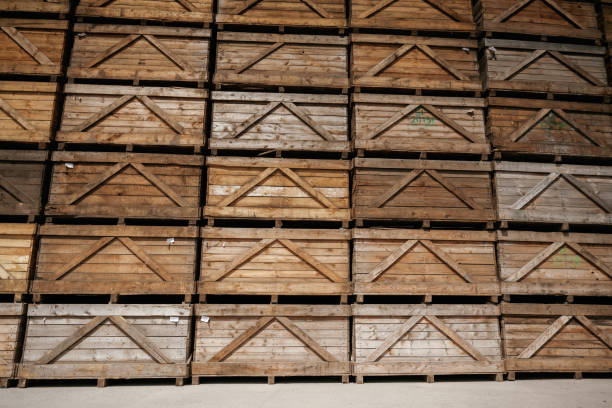 A large outdoor storage area displays numerous stacks of wooden pallet containers under a clear blue sky.