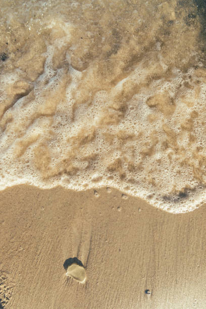 istock Foamy waves washing up on a sandy shore. 2158098829