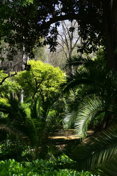 View of the royal gardens of Aranjuez from the opposite bank of the Tagus River one autumn day. community of madrid spain