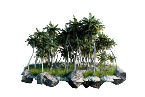 istock Island with tall palm trees and green grass on rocks 2158102998