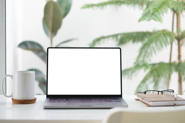 istock Laptop computer with empty screen, stationery and potted plant on white table in bright office. 2158106294