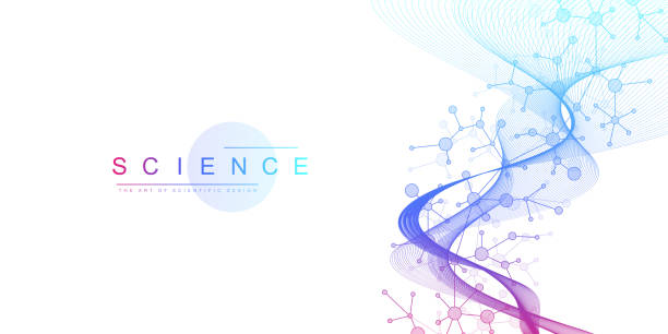 Molecular abstract structure background. Scientific vector illustration with molecule DNA. Medical, science and technology concept for banner template or header. Molecular abstract structure background. Scientific vector illustration with molecule DNA. Medical, science and technology concept for banner template or header dna backgrounds stock illustrations