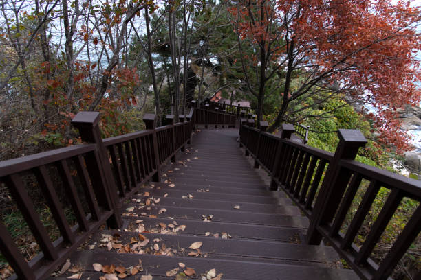 istock wooden stairway at the seaside 2158107561