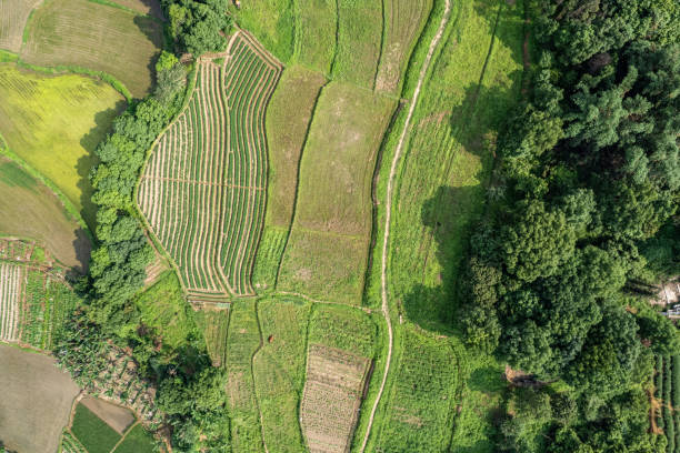 istock Aerial view of rural farmland 2158107921