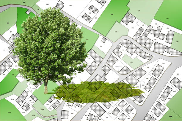 istock Cadastral map and General Urban Plan with lone tree in a rural scene 2158109306