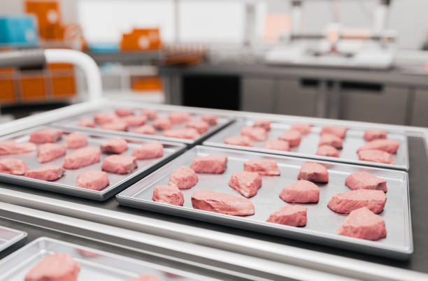 istock Rows of artificial meat on metal trays 2158111926