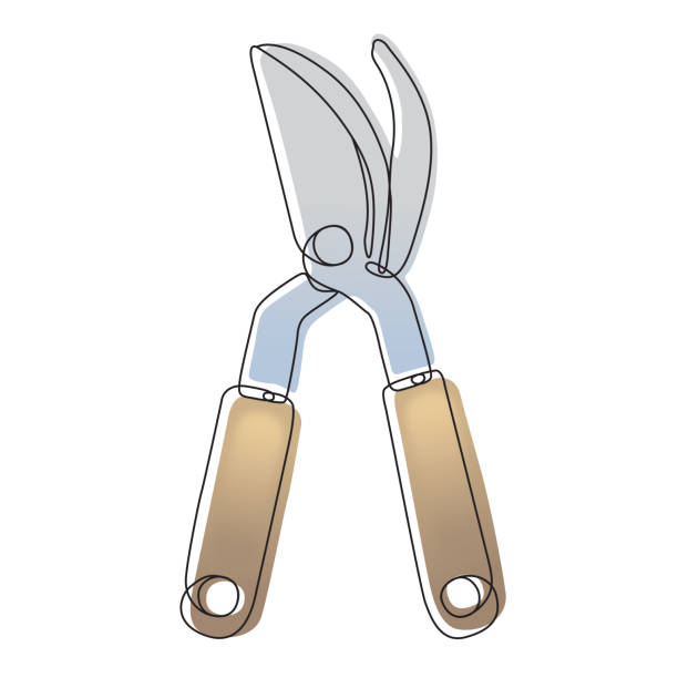 istock Gardening Pruning Shears or Cutters Single Line Drawing with Editable Stroke and Color Elements 2158112715